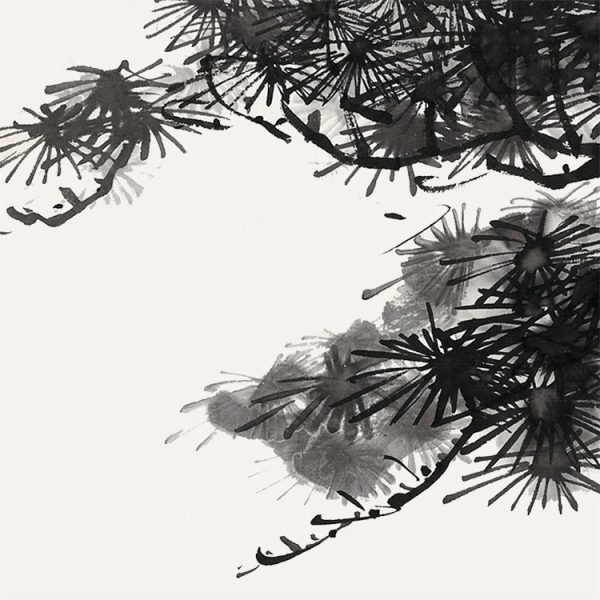 Concentrated Pine【He Xiang 】 - Image 3