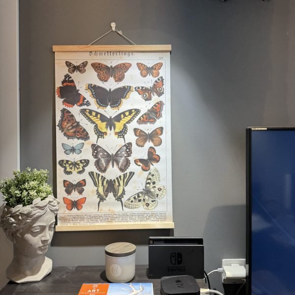 Butterfly - Image 4