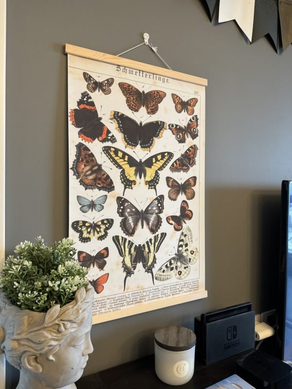 Butterfly - Image 3
