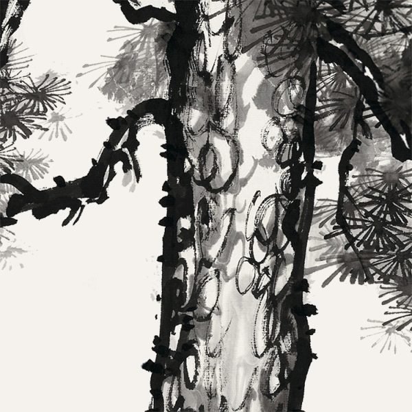 Concentrated Pine【He Xiang 】 - Image 7