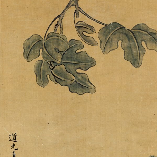 【White Head of Wutong】Que Lan, Qing Dynasty Masterpiece Replica - Image 8